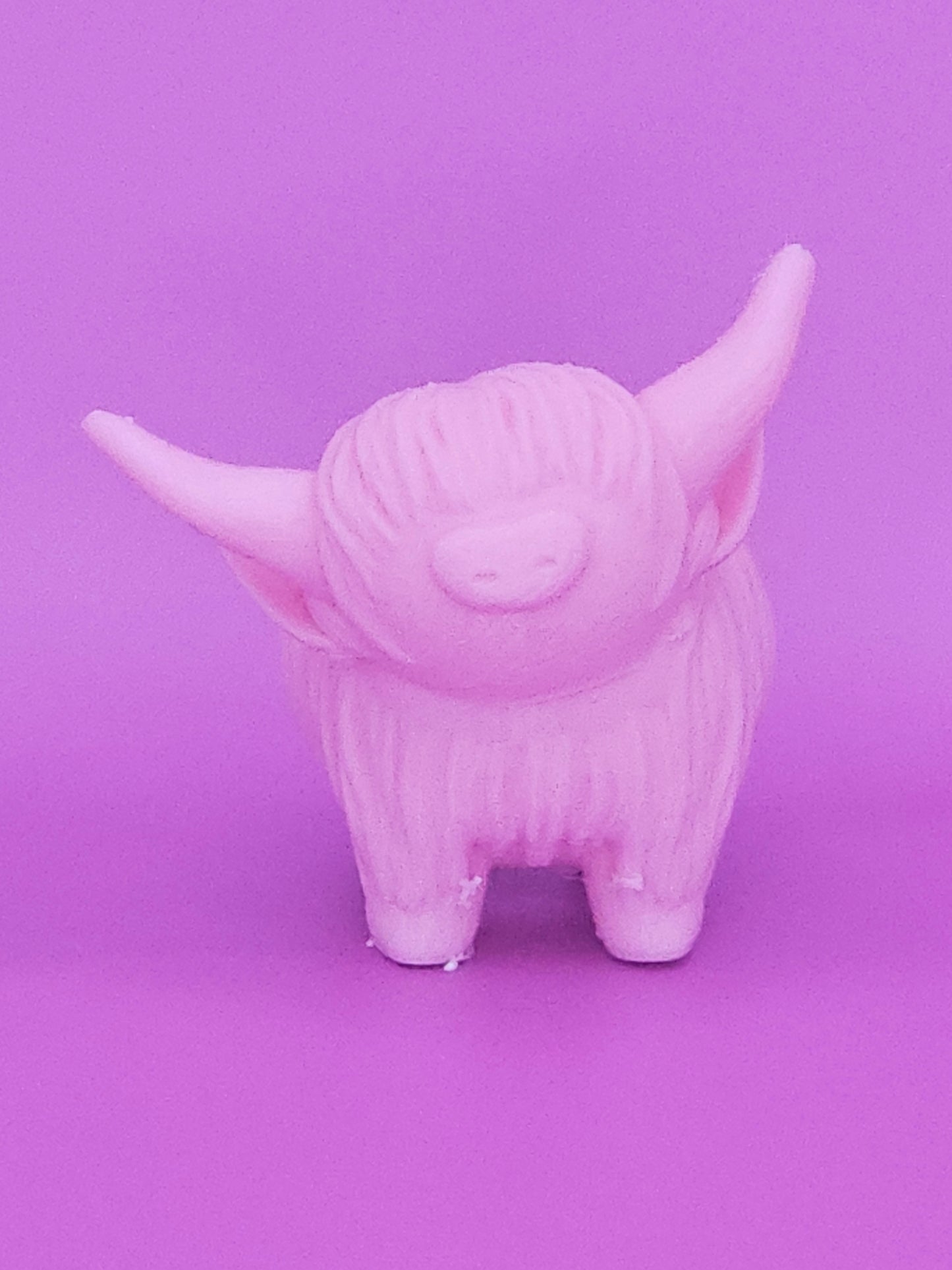 Pink Highland Cow