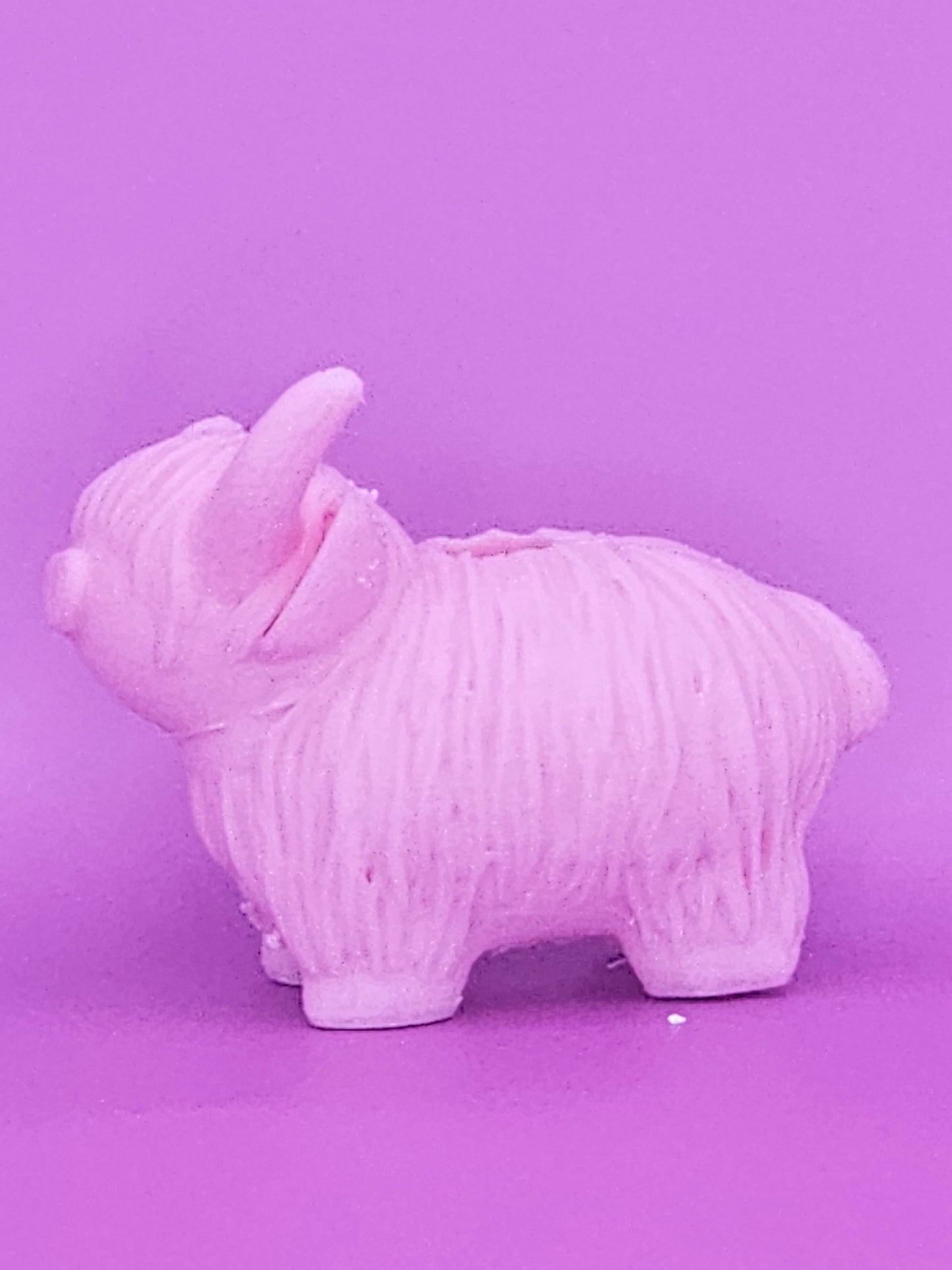 Pink Highland Cow